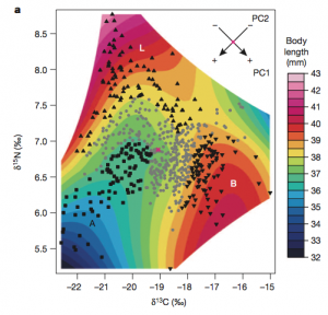 Arnegard et al (2014), figure 1.