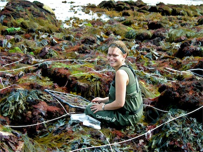 New contributor Stacy A. Krueger-Hadfield