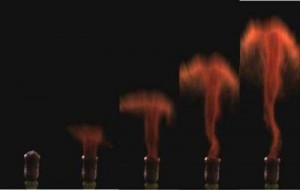 Mosses fire spores from the stalks in a tiny “mushroom cloud” giving the spores an extra boost to catch the wind. ©Joan Edwards and Dwight Whitaker