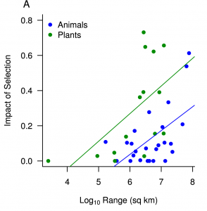 Positive correlation between the impact of natural selection and the geographic range of a species (A) - Figure 2 from Corbett-Detig et al. (2015)