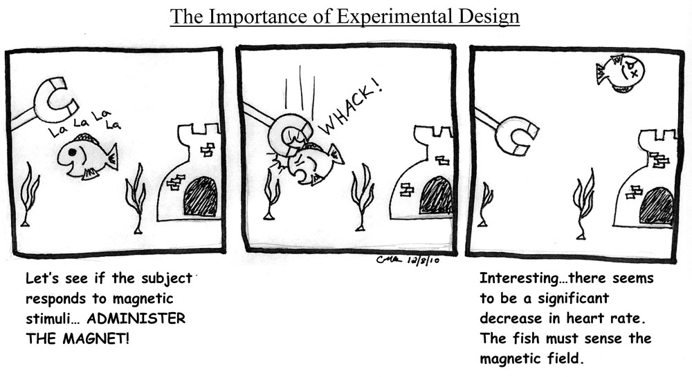 experimental design