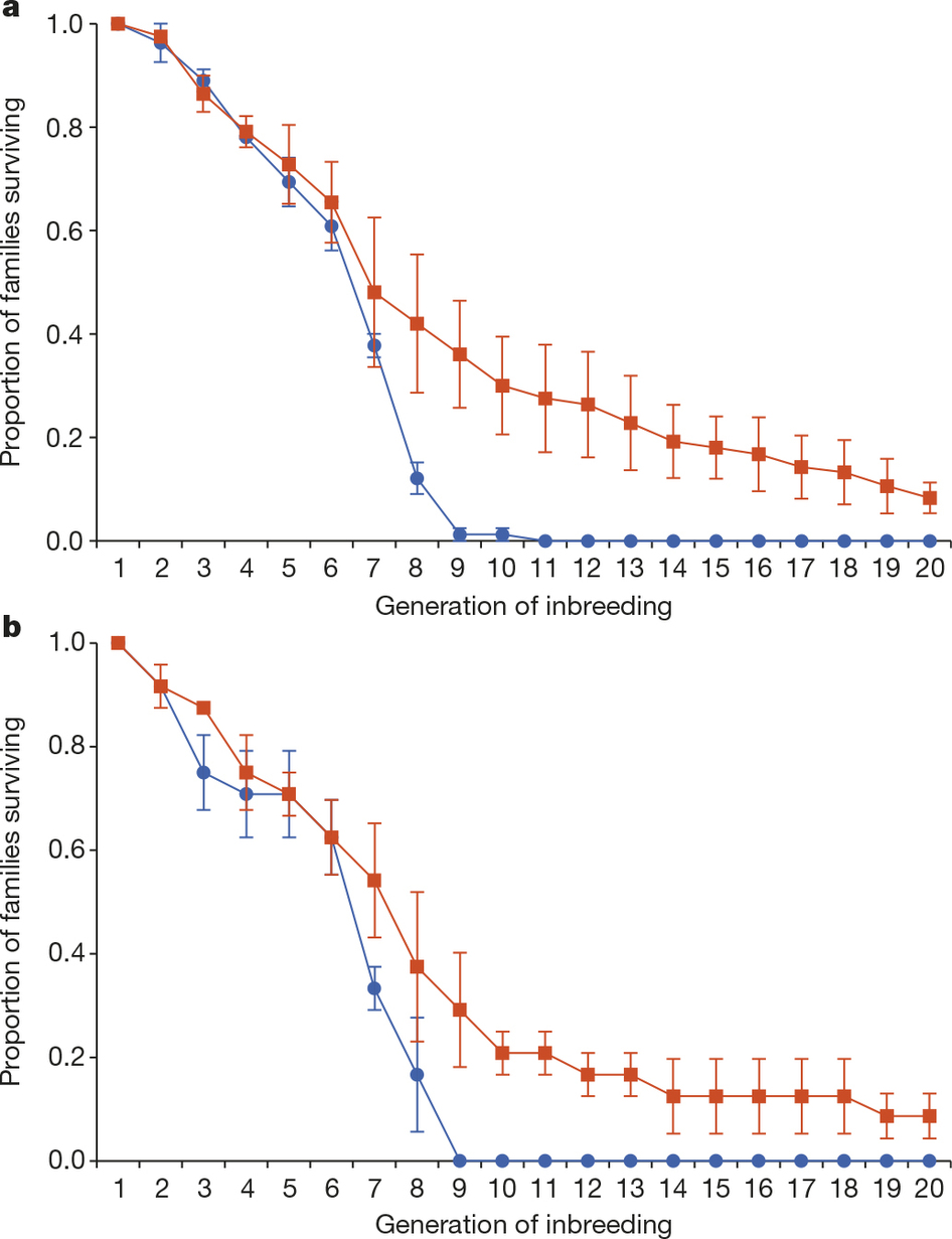 Trajectories of extinction rates under (A) male (red) vs female (blue) biased regimes, and (B) polyandrous (red) vs monogamous (blue) regimes. Image courtesy - Figure 1 of Lumley et al. (2015). http://www.nature.com/nature/journal/vaop/ncurrent/fig_tab/nature14419_F1.html