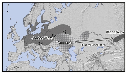 Findings of Allentoft et al. (2015) depicting routes of migration of the Yamnaya culture into Europe and Asia. Image courtesy: Figure 1 of Alltentoft et al. (2015).