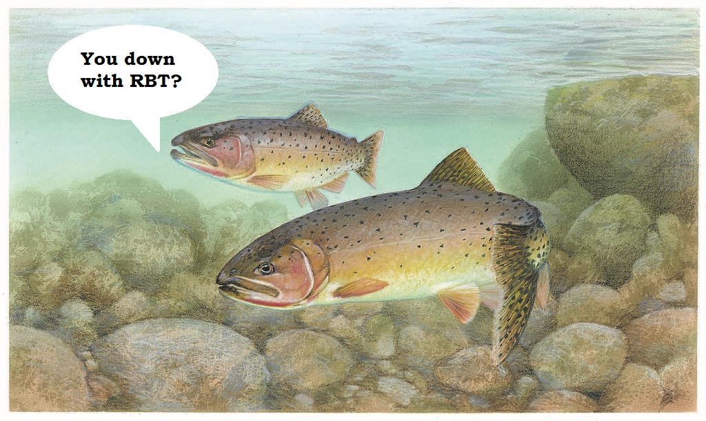 Dispersal and the rainbow trout takeover The Molecular Ecologist