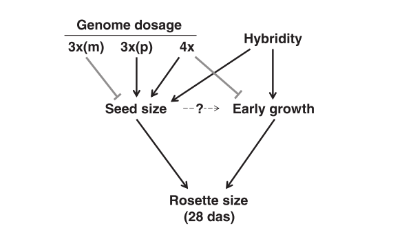 Figure 5 from Fort et al.