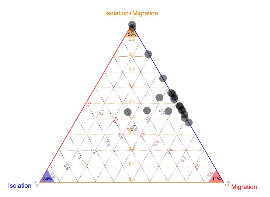 Figure 3 from O'Meara et al (2015) compares the weighted probabilities for 19 datasets as they relate to other types of analyses methods. Few models show support for strictly an isolation-only, isolation with migrations, or migration-only assumption.