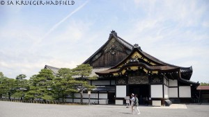 The Ninomaru Palace of the Nijo-jo, the shogun's residence! The "nightingale floors" (uguisubari) in the corridors protected the occupants from sneak attacks and assassins. The floors squeak as you walk and sound like nightingales!