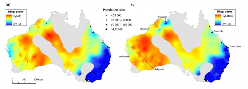 Figure taken from Stephens et al. (2015). Displays