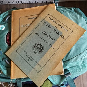 A colleague gave Dr. Weinberger a whole box of old books and he gave me these from my alma mater!