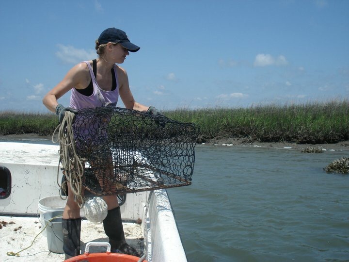 Christine, catching barnacle-ridden crabs with the Skidaway Institute for Oceanography. (Christine Ewers-Saucedo)