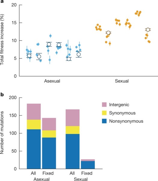 The rate and molecular signatures of adaptation M J McDonald et al. Nature 1–4 (2016) doi:10.1038/nature17143