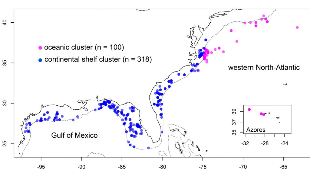 Fig 3: Map showing sampling locations for individuals of the oceanic and continental shelf clusters.