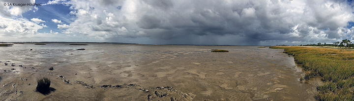 Another site we sampled that was much muddier and stormier.