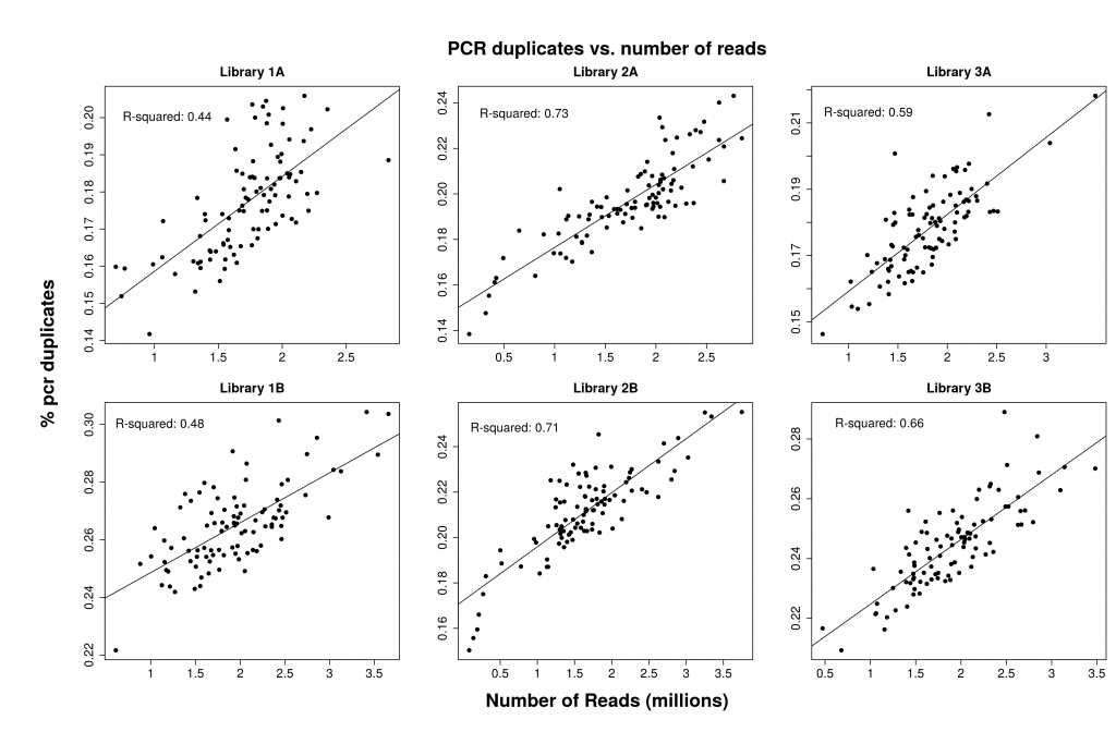 Percentage of PCR duplicates for three libraries of 96 individuals with two replicate preps.