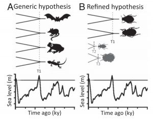 For most comparative phylogeographic studies, concordance is the null hypothesis. By including trait data, we can generate more refined phylogeographic hypotheses. Figure from Papadopoulou and Knowles 2016.