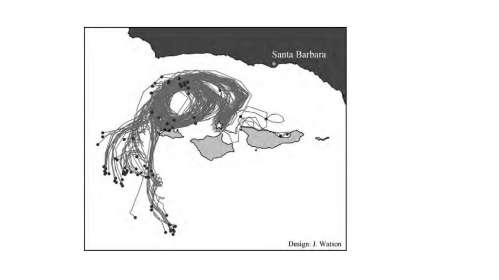 Figure 5. A “snapshot” of a simulation model of larval dispersal in the Santa Barbara Channel region. Land is indicated in gray, with Channel Islands National Park highlighted in light gray. In this illustrative example, larvae were released from the north shore of Santa Rosa Island, indicated by the star. Virtual larvae in the midst of dispersal and are represented by the dark circles; curved lines trace the dispersal path of each larva since their release. Note how most of the larvae were temporarily entrained in an oceanographic gyre (whirlpool) in the Santa Barbara Channel, then advected away by the southward-flowing California Current (see arrows in Figure 4). For visual clarity, only a fraction of the total larvae simulated in a formal analysis are shown here.