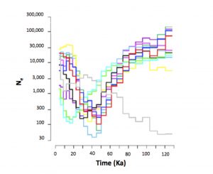 Fig. 2. Estimated effective population sizes of 11 extant lineages of kiwi over the last glacial/interglacial cycle. (Fig. 4 from Weir et al. 2016, PNAS)