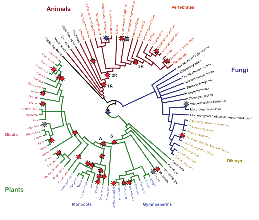 Figure 1 from Campbell et al.