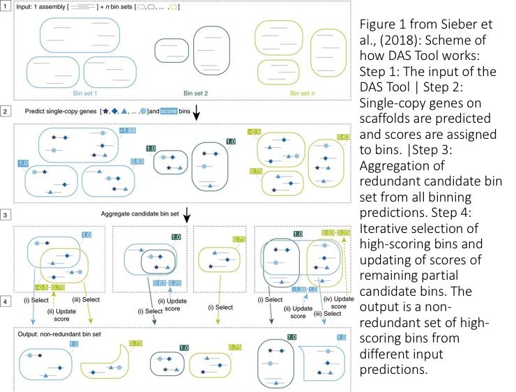 What is DAS? A new tool to recover genomes from metagenomes | The